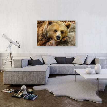 Grizzly Bear On Rock Zoo decor