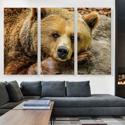 Grizzly Bear On Rock Zoo decor
