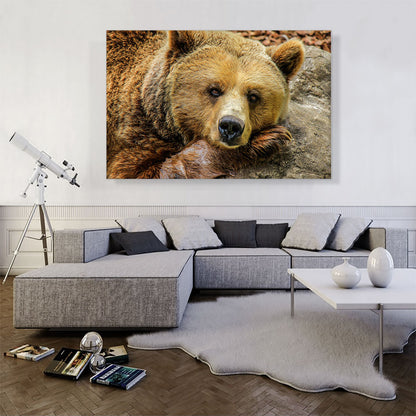 Grizzly Bear On Rock Zoo decor