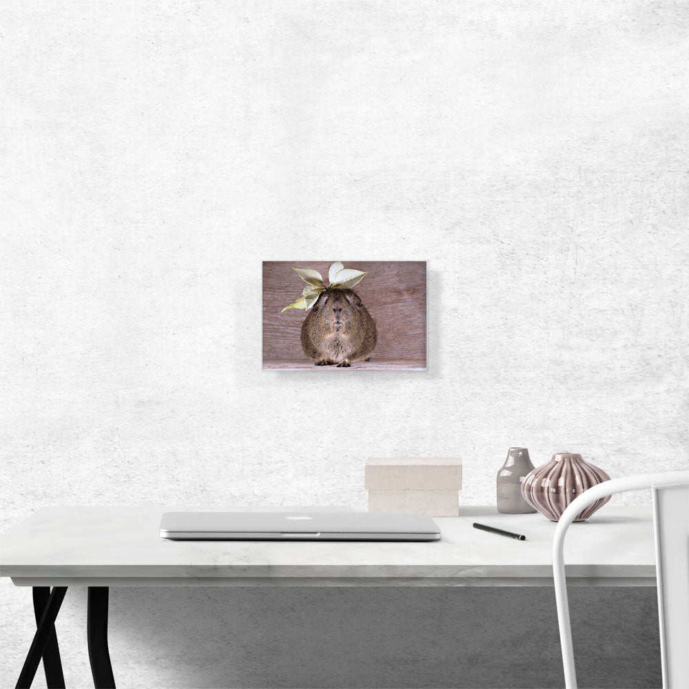 Guinea Pig Home decor