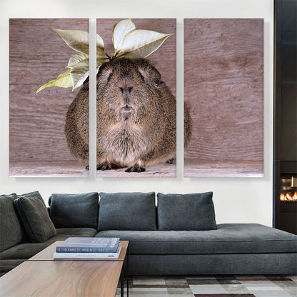 Guinea Pig Home decor