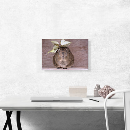 Guinea Pig Home decor