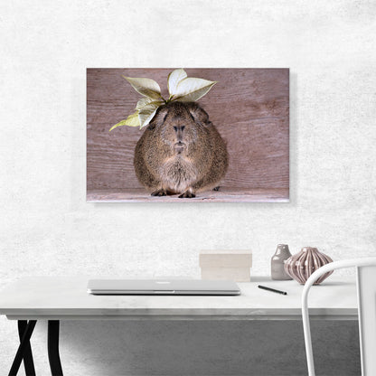 Guinea Pig Home decor
