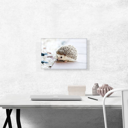 Hedgehog Home Decor Rectangle