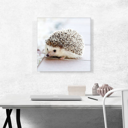 Hedgehog Home Decor Square