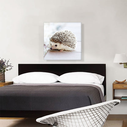 Hedgehog Home Decor Square