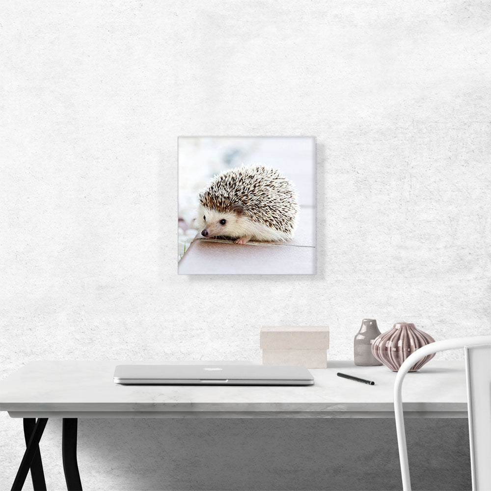 Hedgehog Home Decor Square