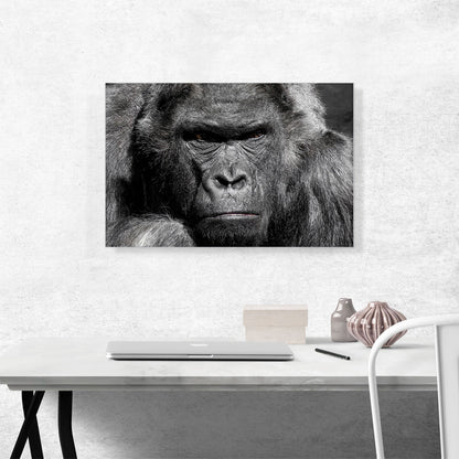 Angry Gorilla Home decor
