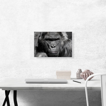 Angry Gorilla Home decor