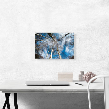 High Trees Forest Home Decor Rectangle