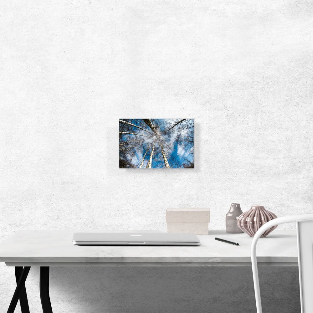High Trees Forest Home Decor Rectangle