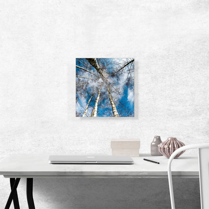 High Trees Forest Home Decor Square