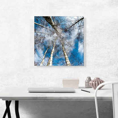 High Trees Forest Home Decor Square