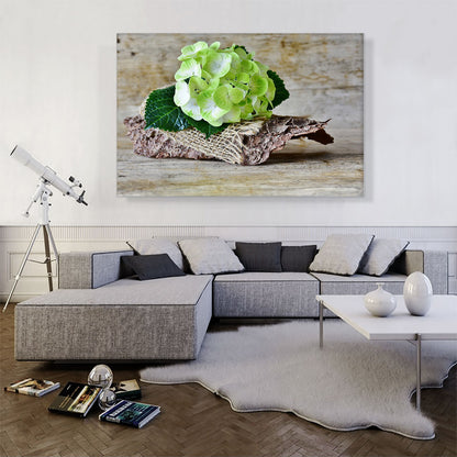 Hydrangea Plant Home decor