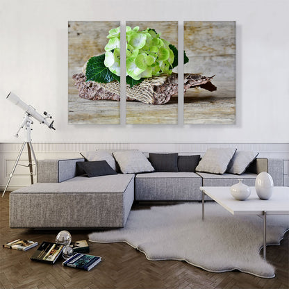 Hydrangea Plant Home decor
