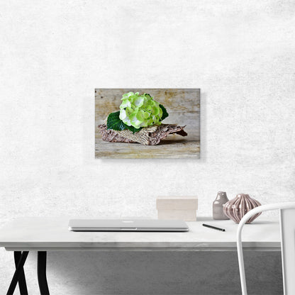 Hydrangea Plant Home decor