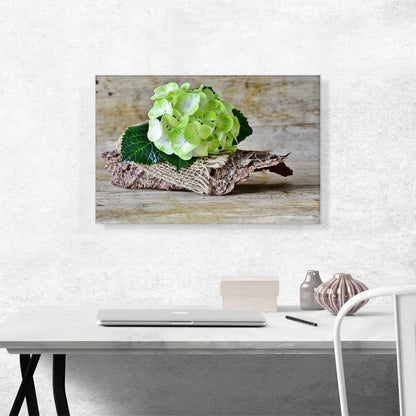 Hydrangea Plant Home decor