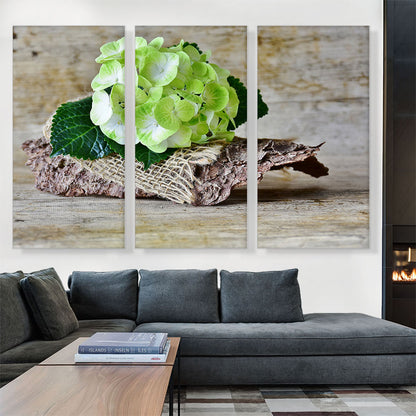 Hydrangea Plant Home decor