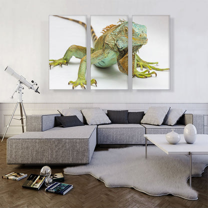 Iguana Home decor