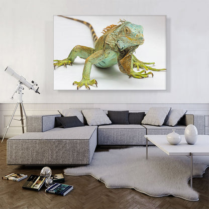 Iguana Home decor