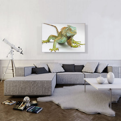 Iguana Home decor