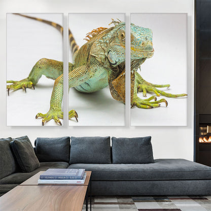 Iguana Home decor