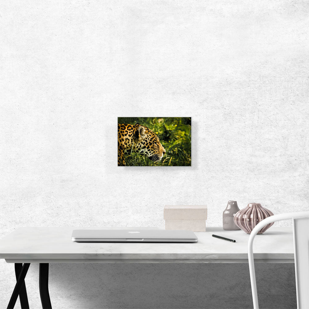 Jaguar Home decor