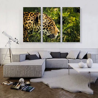 Jaguar Home decor