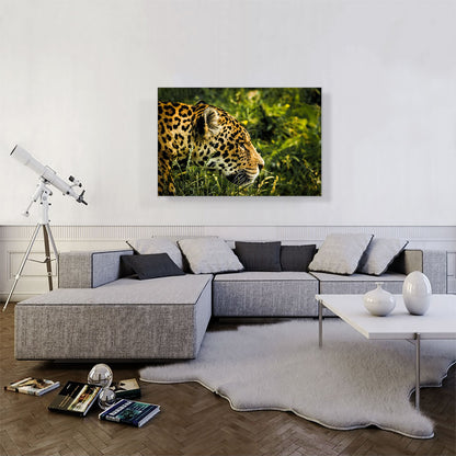 Jaguar Home decor
