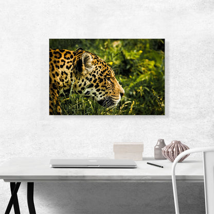 Jaguar Home decor