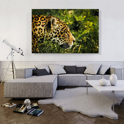 Jaguar Home decor