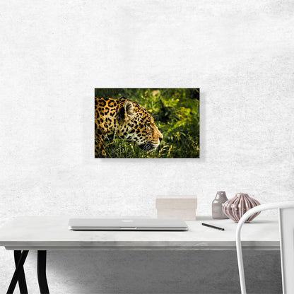 Jaguar Home decor