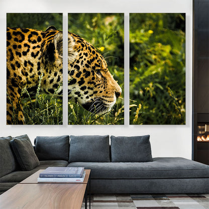Jaguar Home decor