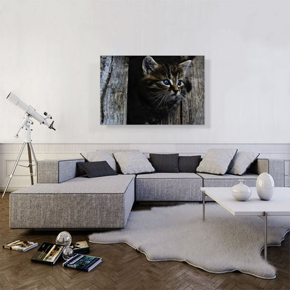 Kitten Home decor