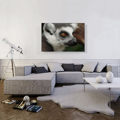 Lemur Face Home decor