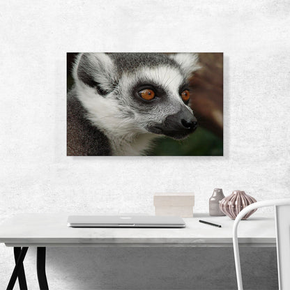 Lemur Face Home decor