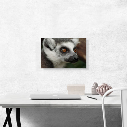 Lemur Face Home decor