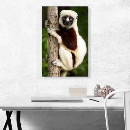 Lemur Home decor