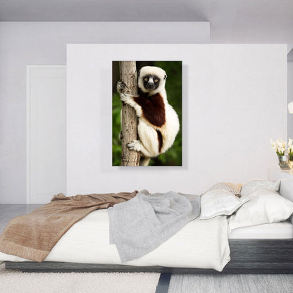 Lemur Home decor