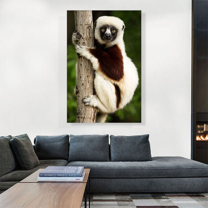 Lemur Home decor