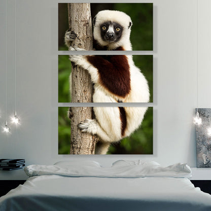 Lemur Home decor