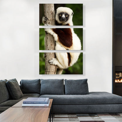 Lemur Home decor