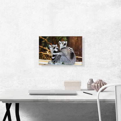 Lemurs Home decor