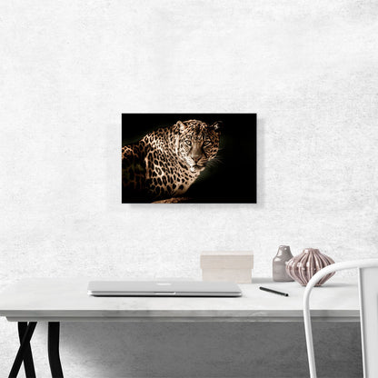 Leopard Face Home decor