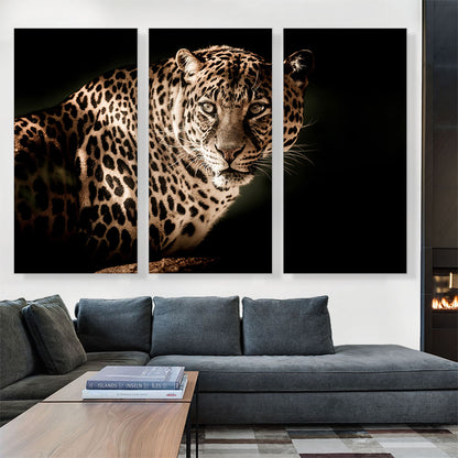 Leopard Face Home decor