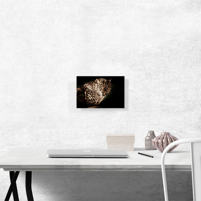 Leopard Face Home decor