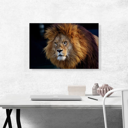 Lion Home Decor Rectangle