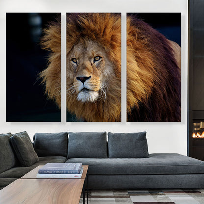Lion Home Decor Rectangle