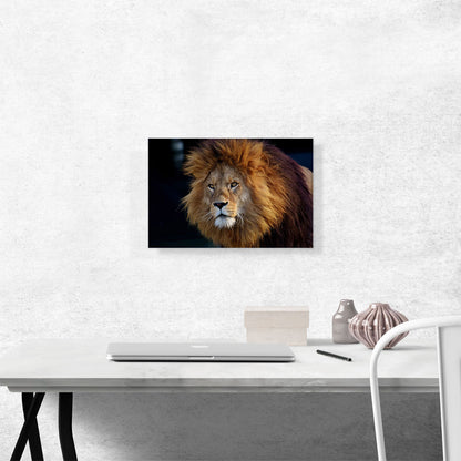 Lion Home Decor Rectangle