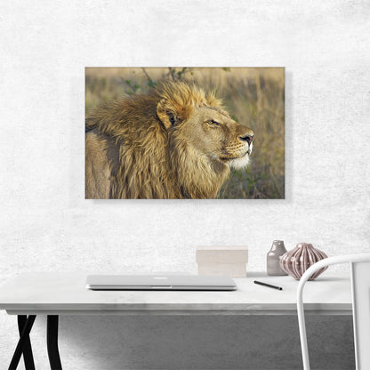 Lion In Savanah Home decor
